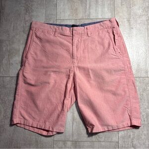 J Crew Club Men's Pink Casual flat front Shorts Sz 34 preppy